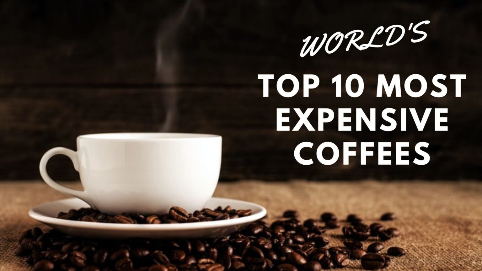 10 Most Expensive Coffees In The World Cookhealthyfoods