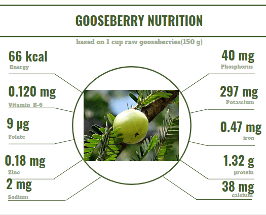 Nutritional Value of Gooseberries