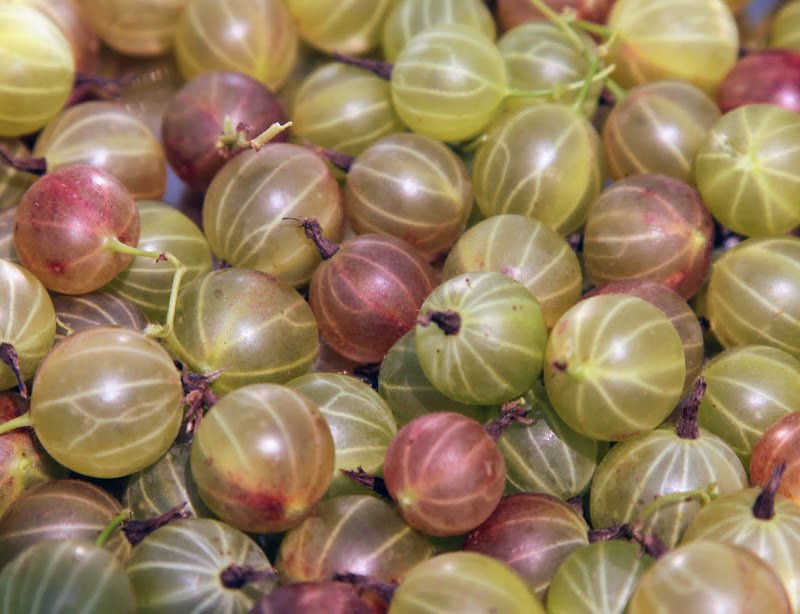 Gooseberry Fruit health Benefits