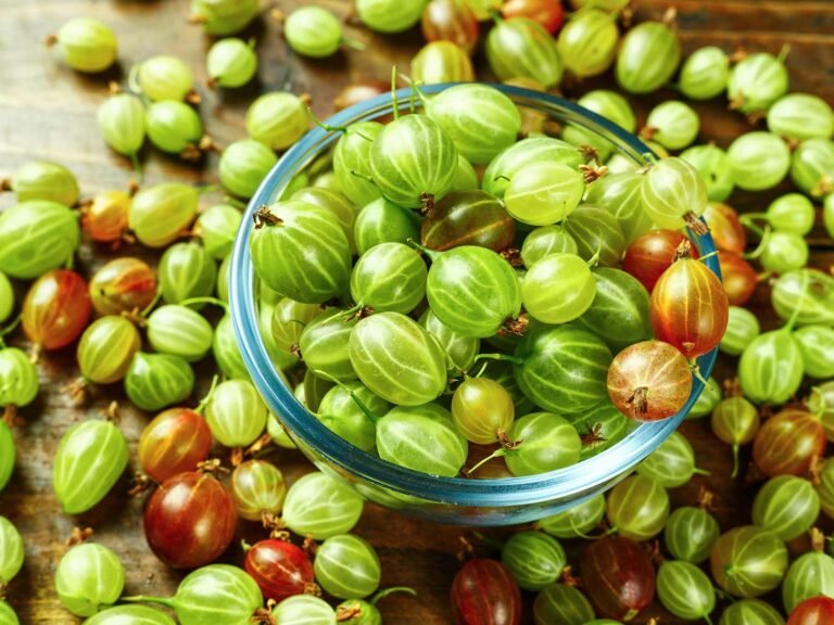 Gooseberry Fruit Benefits