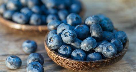 5 benefits of eating blueberries daily